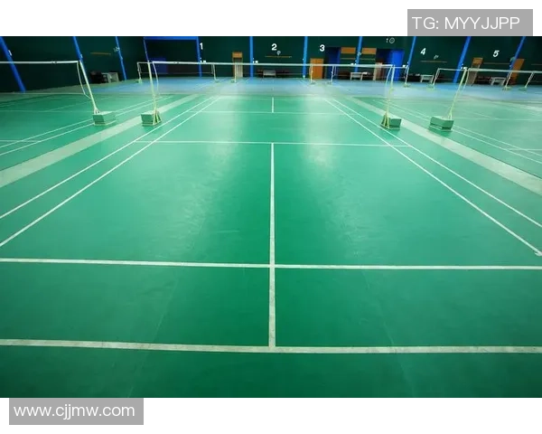 西安羽毛球队的控制革新探索与实践全景分析