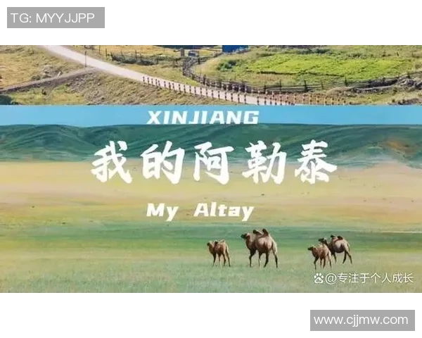 飞盘与梦想交织的旅程：吴敏的深度对话与人生启示